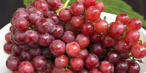 Premium Red Grapes