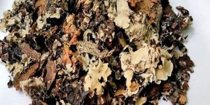 Stone Flower Dagad Phool