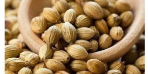 Whole Coriander Seeds