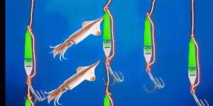 Tuna Light Deep Drop Green Fishing Light