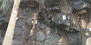 Rock Fall Protection Nets