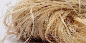 Banana Fiber