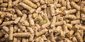 Cattle Feed Pellets