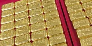 Business Support Services