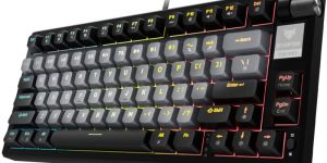 Evofox Ronin Tkl RGB Mechanical Wired USB Tenkeyless Gaming Keyboard