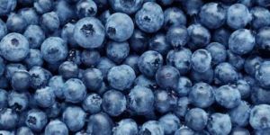 Frozen Imported Blueberry