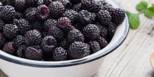 Frozen Raspberry Fruits