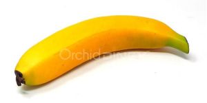 Dinex Artificial Banana Heavy