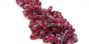 Dinex Artificial Fruit Grapes