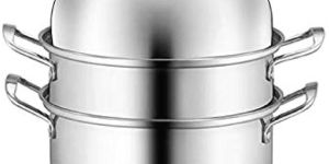 dinex small induction based steamer