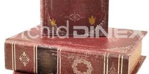 Dinex Rustic Display Book