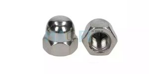 Alloy 20 Dome Nut
