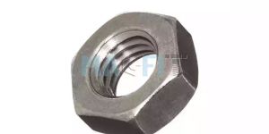 Hastelloy Hex Nut