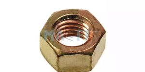 Phosphor Bronze Hex Nut
