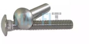 Stainless Steel Carriage Bolt