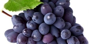 Fresh Black Grapes