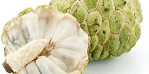 Fresh Custard Apple