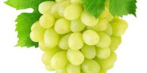 Fresh Green Grapes