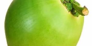 Green Tender Coconut