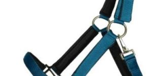 Blue Leather Horse Halter