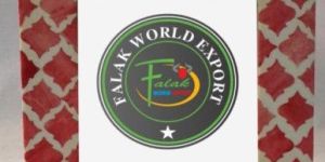 7x5 Inch Table Top Bone Inlay Photo Frames