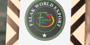 Fancy Table Top Bone Inlay Photo Frames