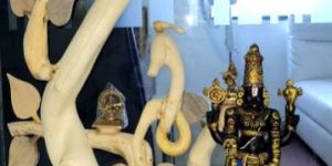 3-4 Feet Neem Root Showpiece