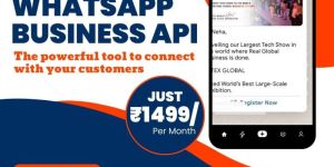 Whatsapp Business API Service