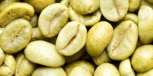 Arabica Plantation AAA Green Coffee Beans
