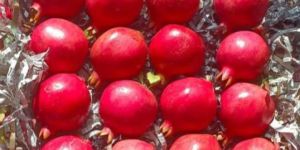 Fresh Pomegranate