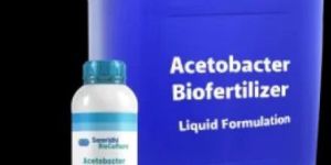 Acetobacter Bio Fertilizer Liquid Formulation
