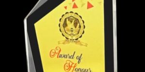 AA-9412 Acrylic Memento Trophy