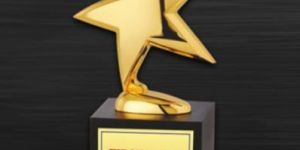 CA-7603 Metal Corporate Award