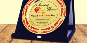 MP-04 Metal Plate Trophy With Box