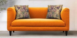 Cozy Two Seater Living Room Sofa