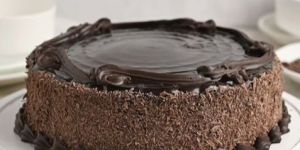 Dive-in Chocolate Cake