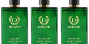 Hamilton Perfume 100ml (Pack of 3)