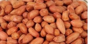 Bold Peanuts
