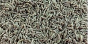 Cumin Seeds