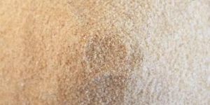 Dehydrated Garlic Granules