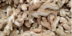 Dry Ginger