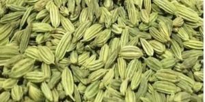 Fennel Seeds