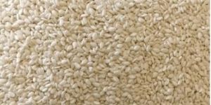 Hulled Sesame Seeds