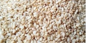 Natural Sesame Seeds