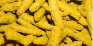 Turmeric Finger