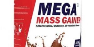 SCITRON MEGA MASS GAINER RICH CHO