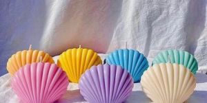 Shell Shaped Scented Candles Pack of 2 Piece