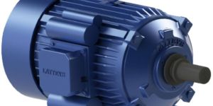 LEM 2.0 Induction Motor