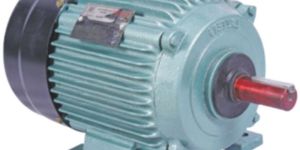 LEM 5.0 Induction Motor
