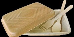 Areca Food Container